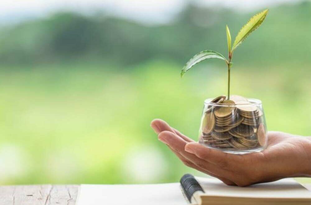 ESG y reputación, el único camino para crecer / Pixabay